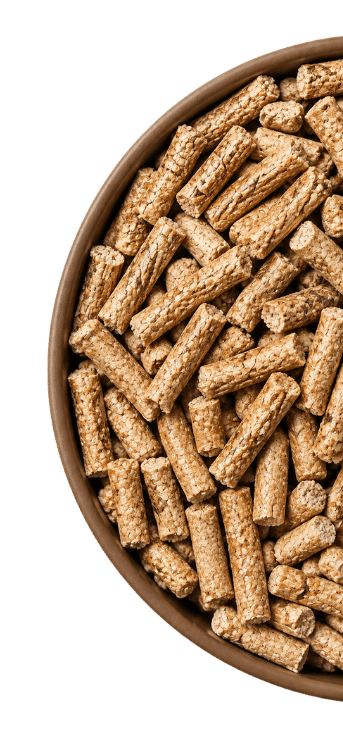 Wood Pellets in Bowl